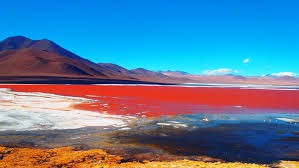 Atacama, Laguna colorada (Cile)